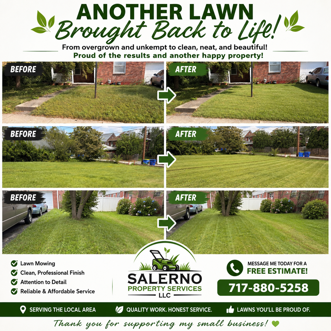 Lawn care project photo
